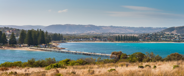 Trent's Plumbing and Gas loves being your Victor Harbor Plumber with views like this looking from Granite Island across the Causeway and blue waters to the Norfolk Pines lining the shoreline.